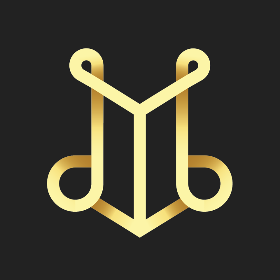 Director General - Development Team Leader